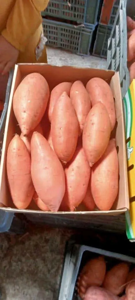 Sweet Potatoes