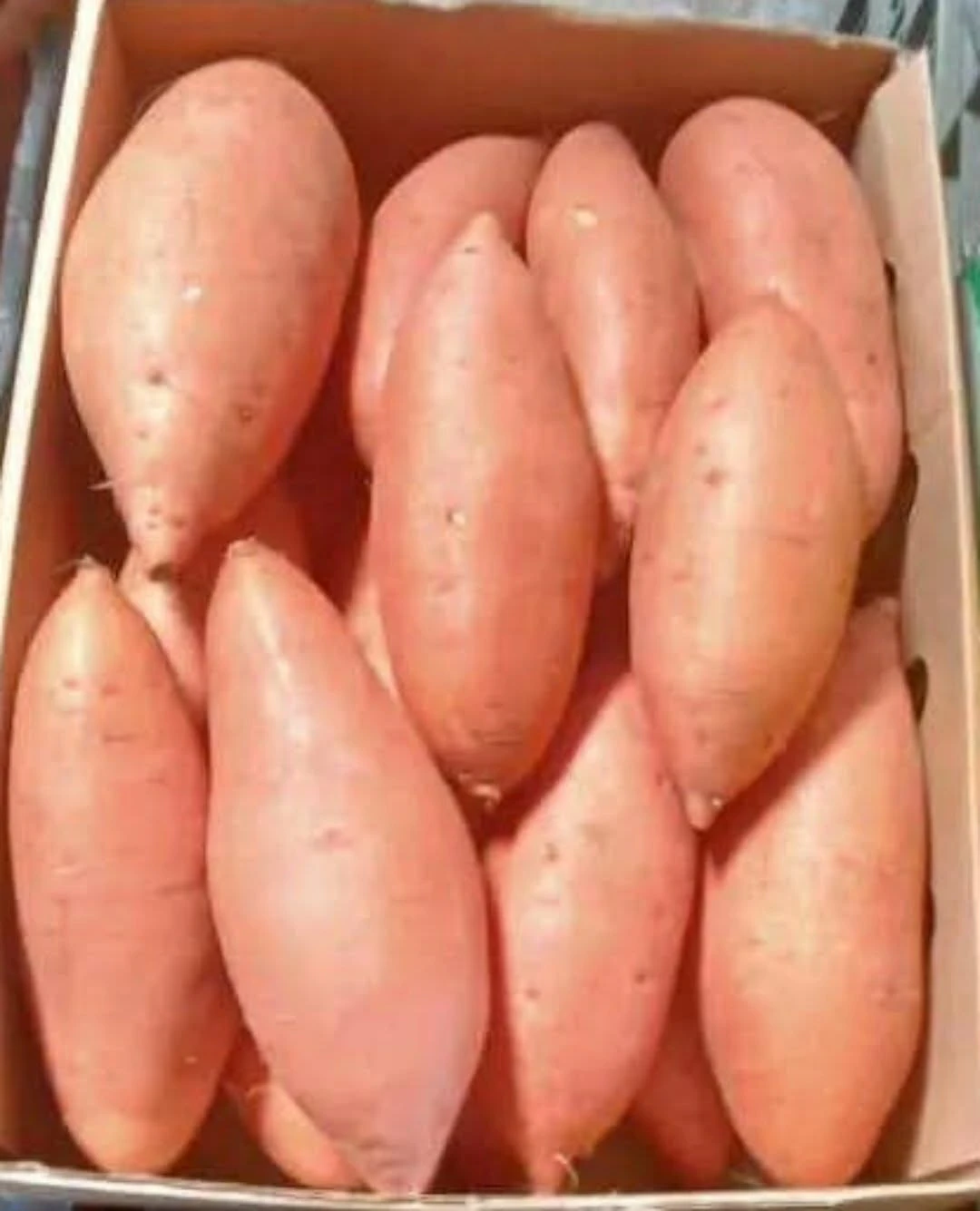 Sweet Potatoes
