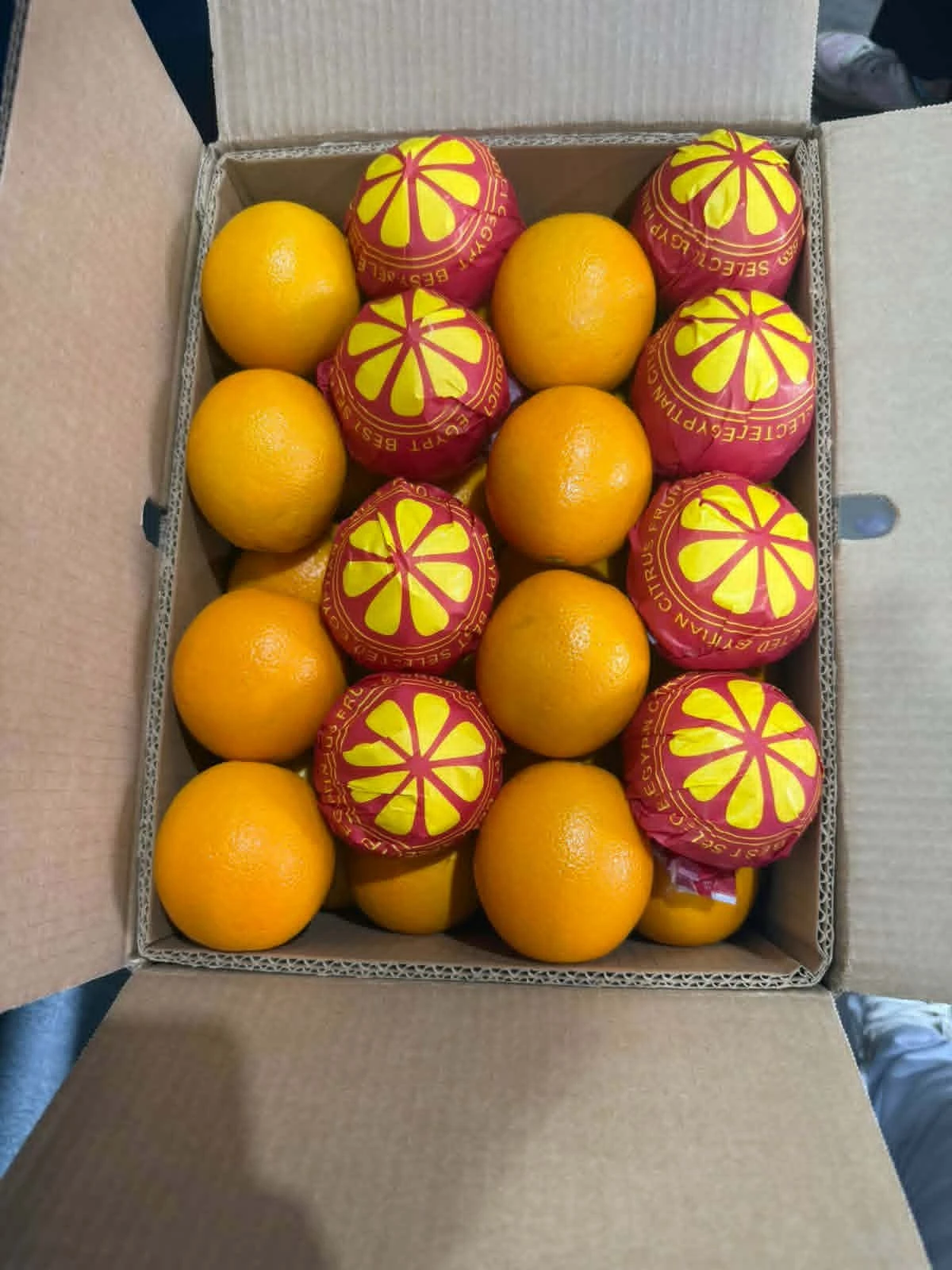 Valencia Orange