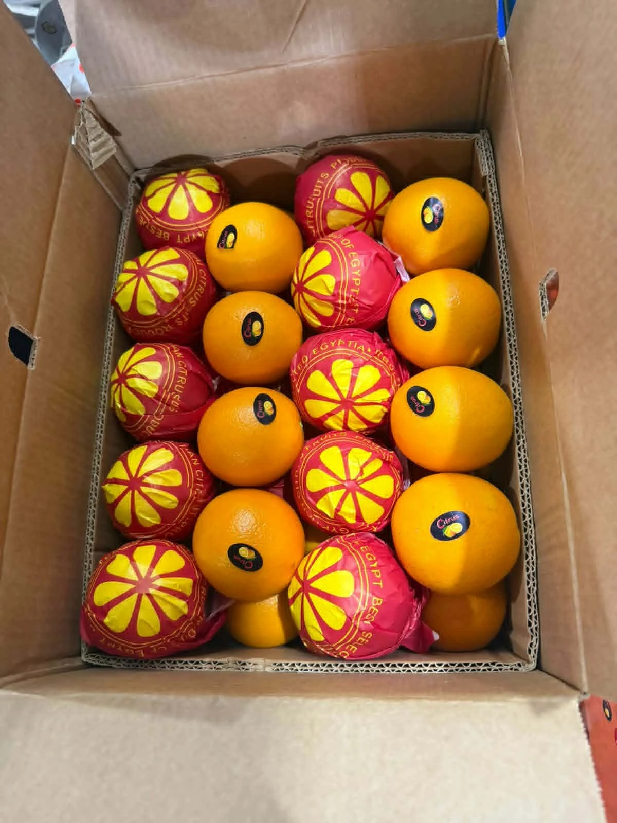 Valencia Orange